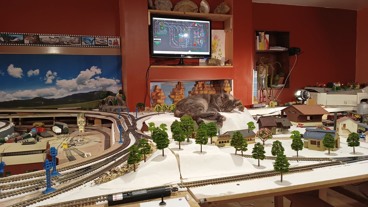 IMG_20221019_211623141