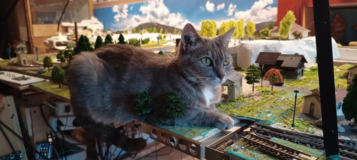 IMG_20230626_210828815