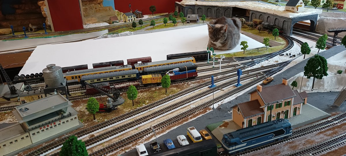 IMG_20230630_101544843