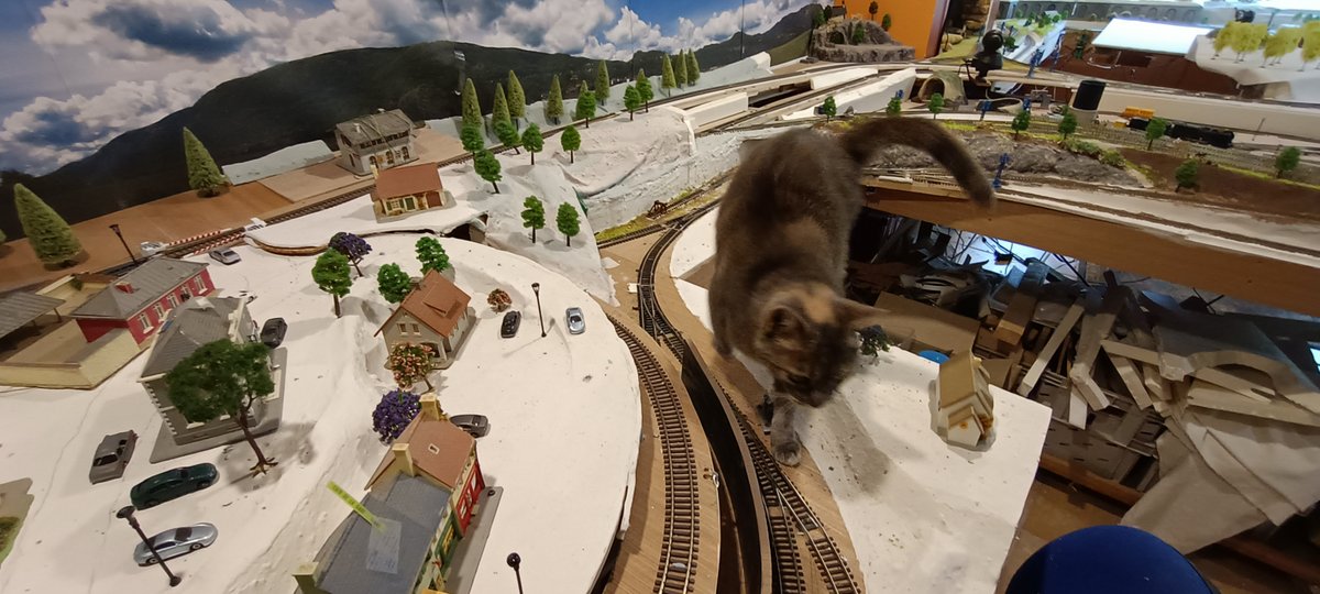 IMG_20230630_141925630