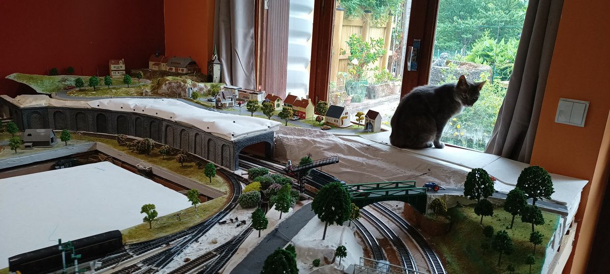 IMG_20230702_091048155