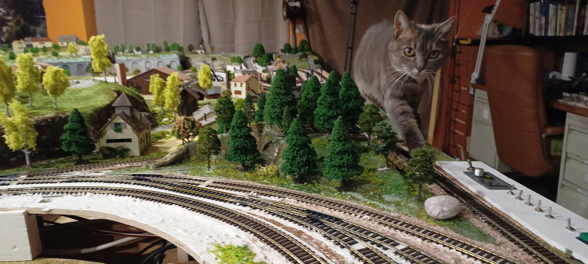 IMG_20231122_180536027