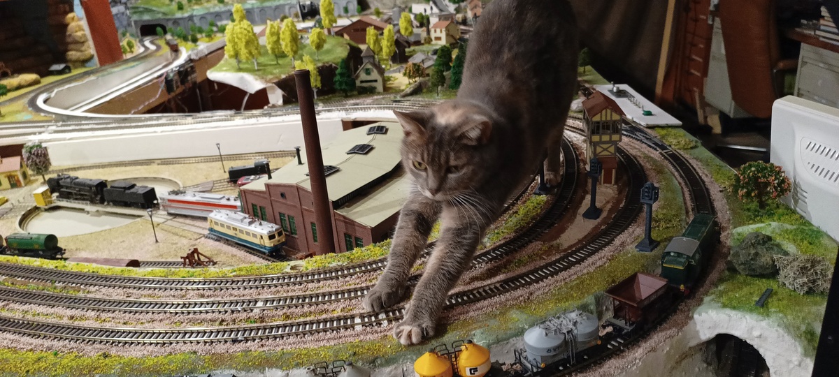 IMG_20231122_180542898