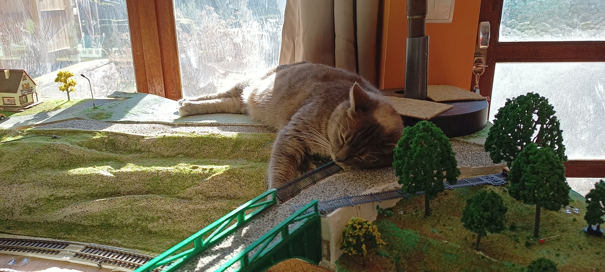 IMG_20231224_120723202