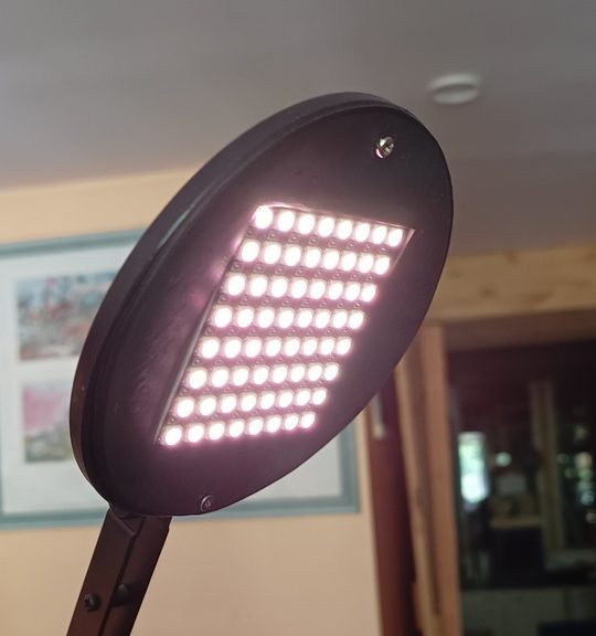 IMG_20250429_155827383