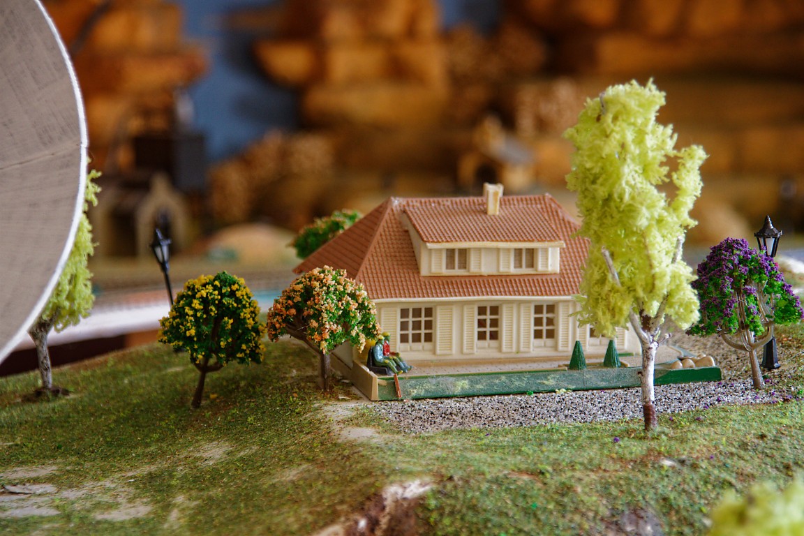 IMG_4691_DxO (Medium)